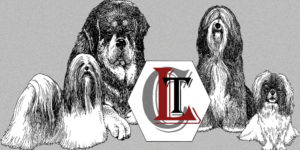 Club für Liebhaber tibetische Hunderassen